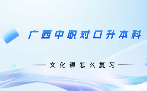 廣西中職對口升本科文化課怎么復習